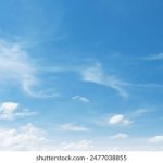 嫂子激情 r5auuw8